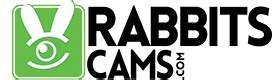 www rabbitscams com